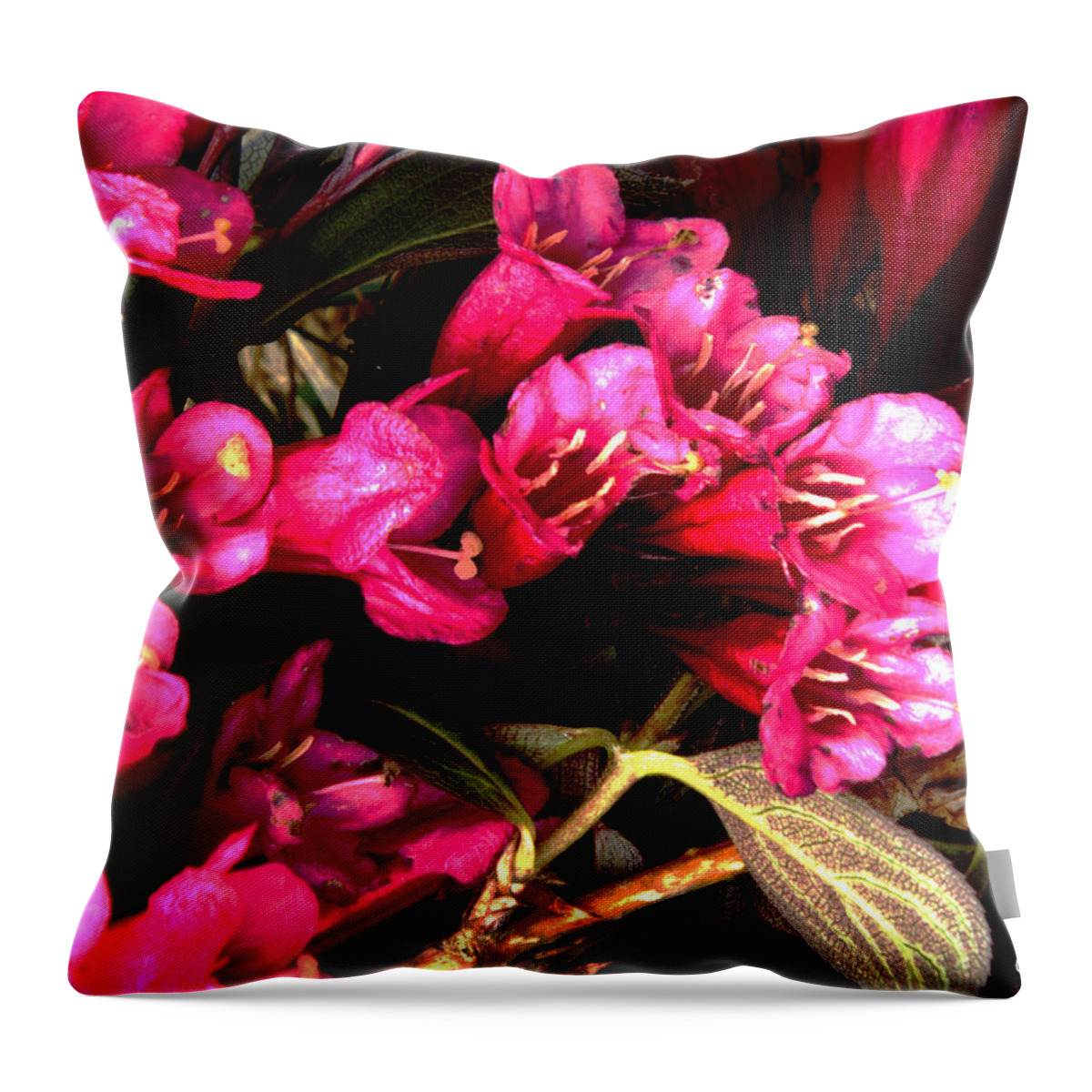 Perennial Red Shrub Pink Foliage Garden Spring Bouquet Colorful Vibrant Vivid Throw Pillow featuring the digital art Spring Bouquet by Leon DeVose