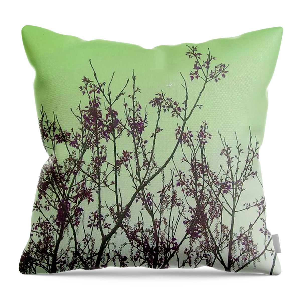 Elegant Throw Pillow featuring the photograph Spring Branches Mint by Marisela Mungia