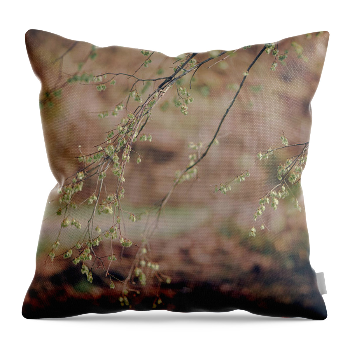 Spring Throw Pillow featuring the photograph Spring Buds by Amber Flowers