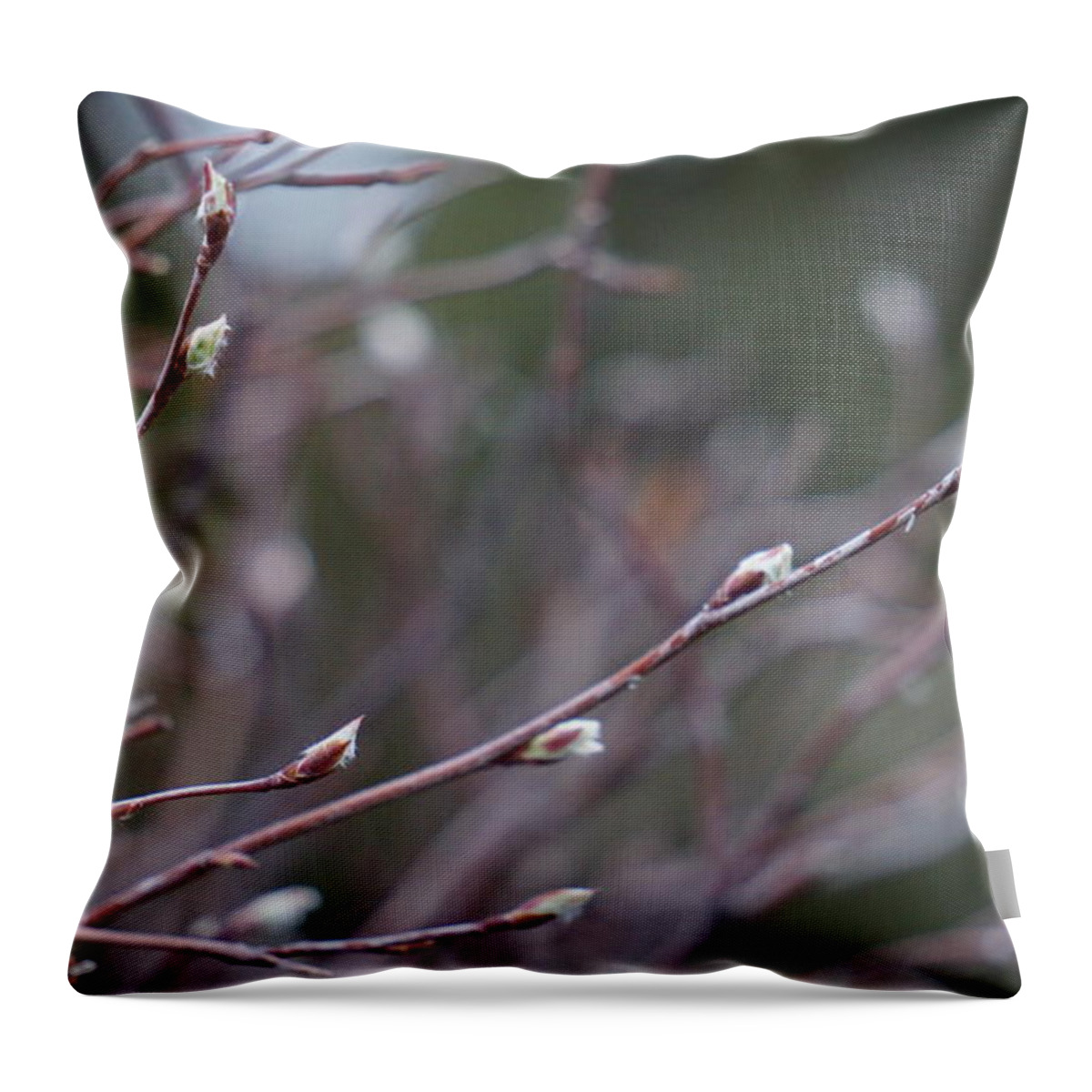 Spring Throw Pillow featuring the photograph Spring Buds by Brooke Bowdren