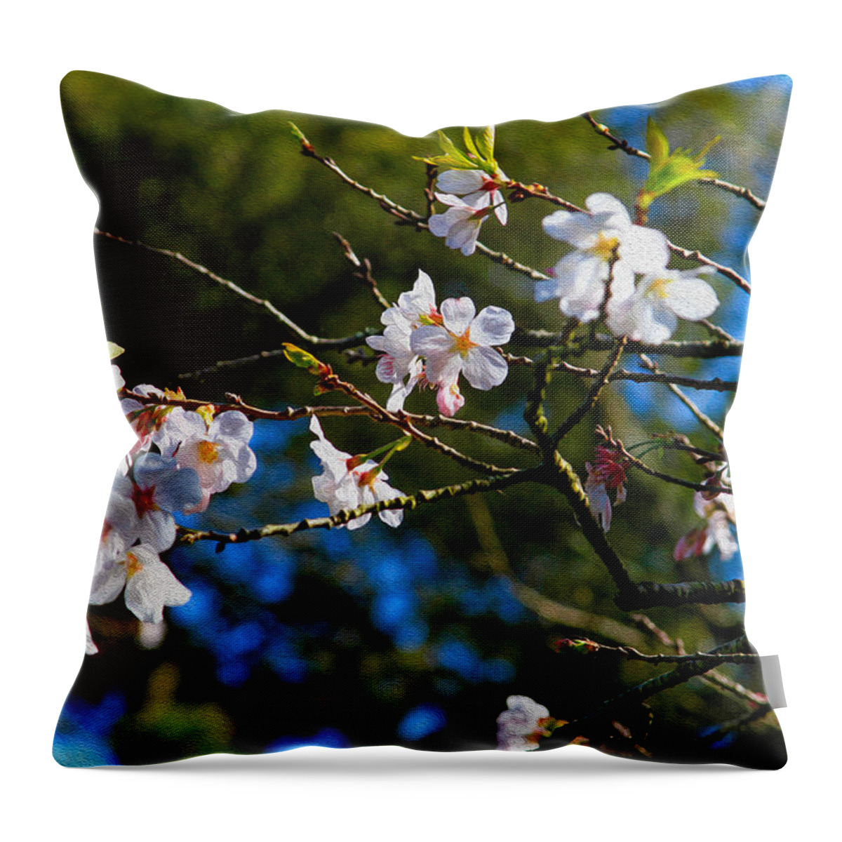 Bonnie Follett Throw Pillow featuring the photograph Spring Cherry Blossoms 1 by Bonnie Follett