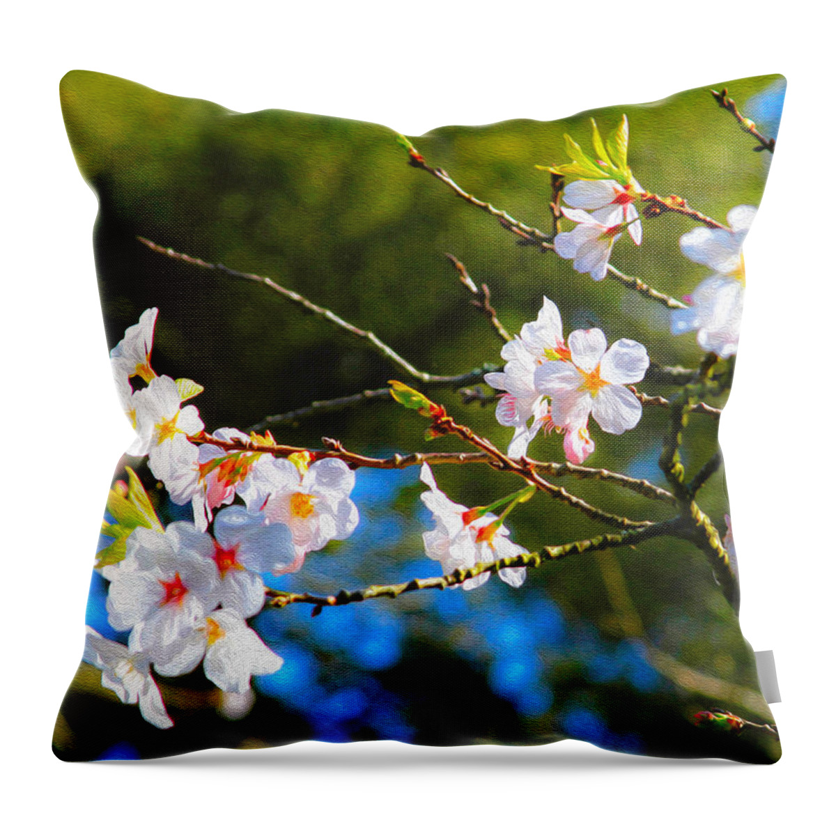 Bonnie Follett Throw Pillow featuring the photograph Spring Cherry Blossoms 2 by Bonnie Follett