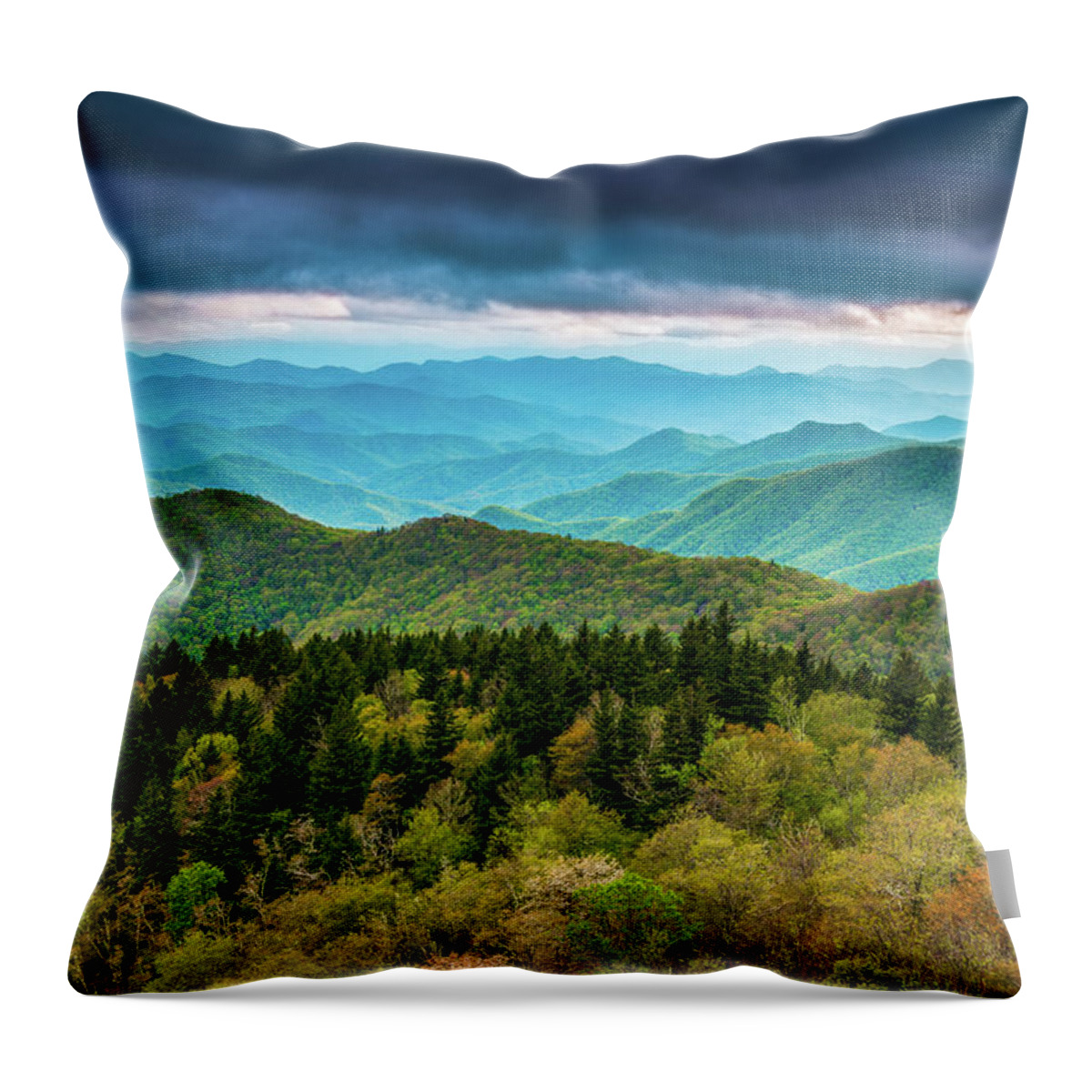 Asheville Throw Pillow featuring the photograph Spring Colors by Joye Ardyn Durham