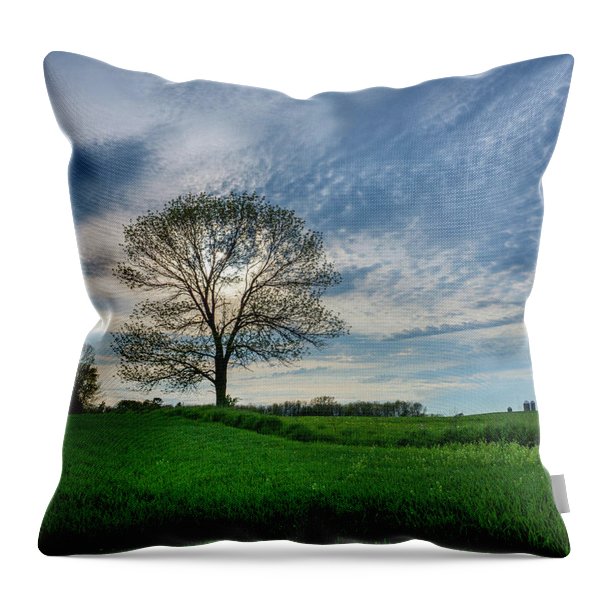 Bill Pevlor Throw Pillow featuring the photograph Spring Coming On by Bill Pevlor