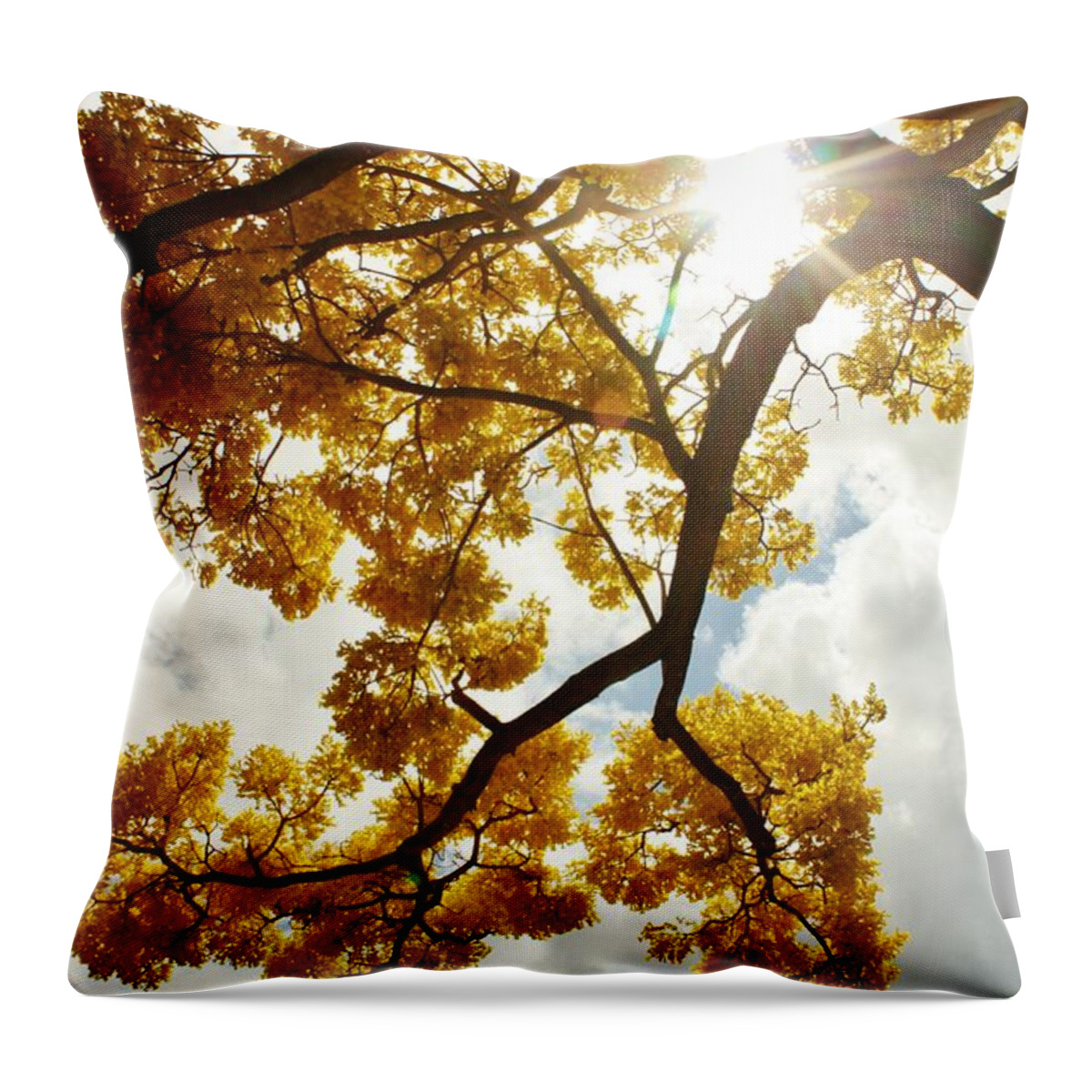 Tabebuia Chrysotraicha Throw Pillow featuring the photograph Spring by Craig Wood