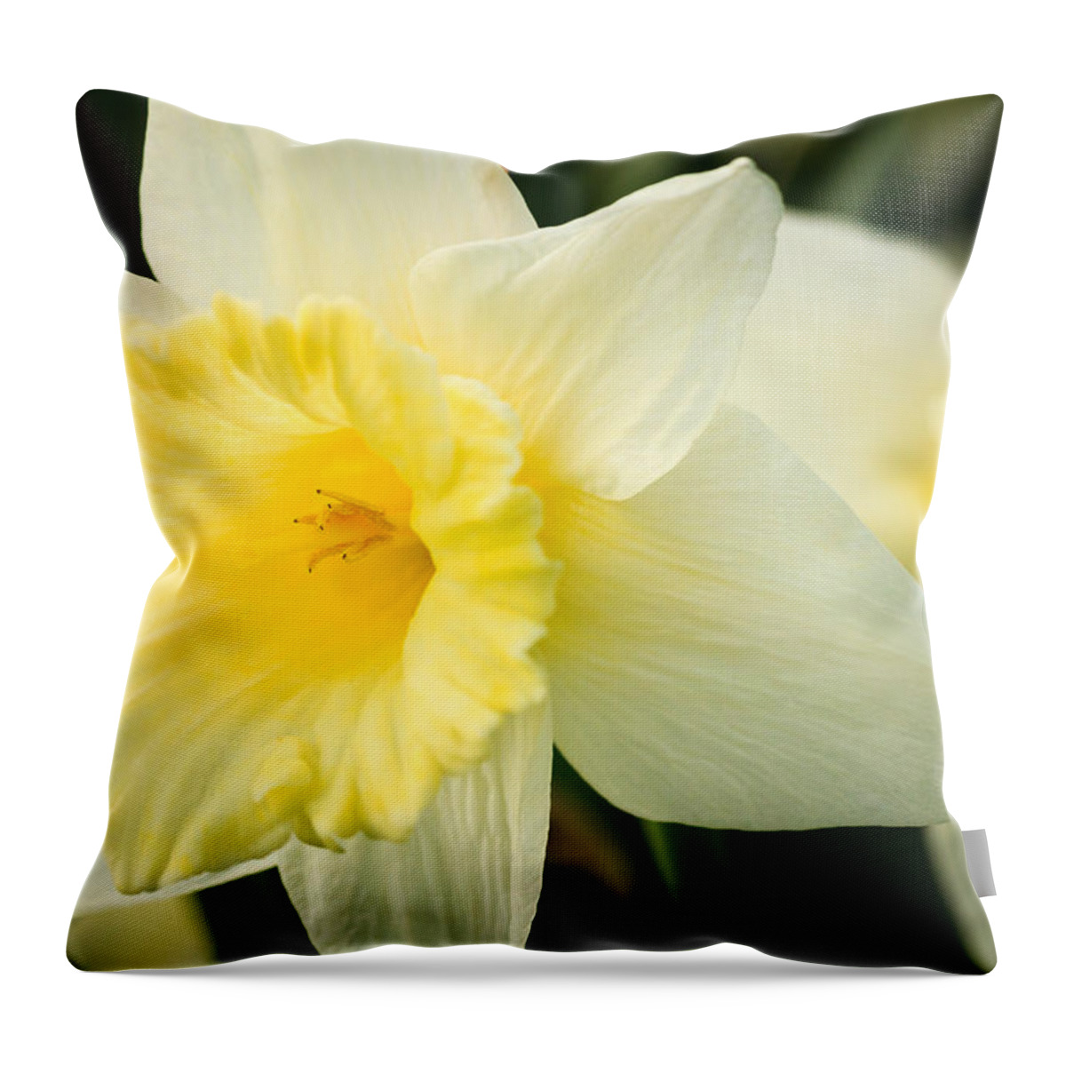 Illinois Throw Pillow featuring the photograph Spring Daffodils by Joni Eskridge