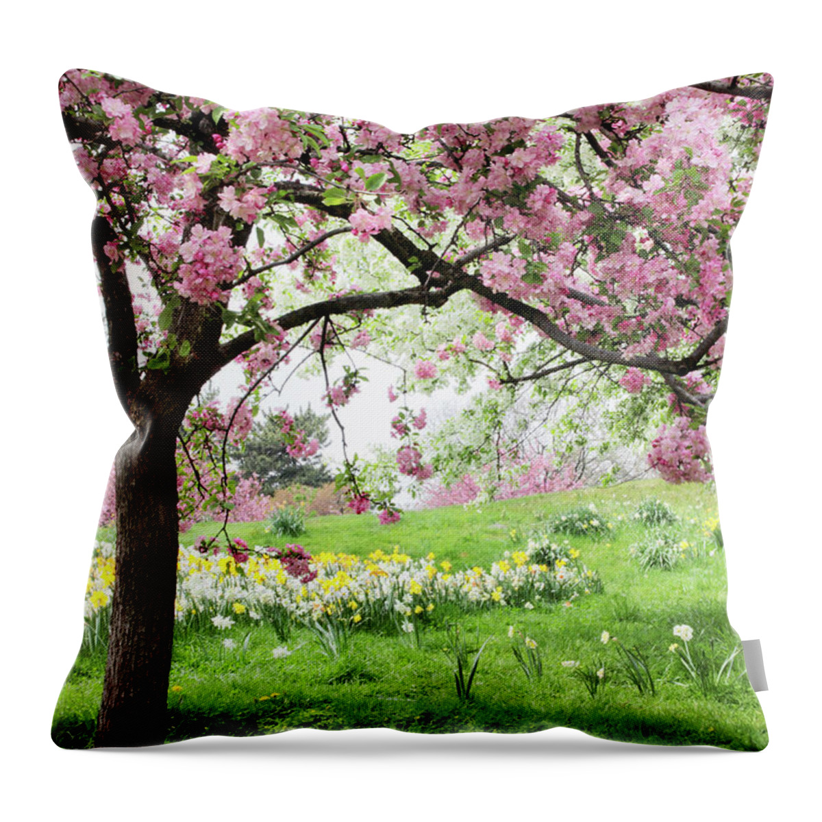 Spring Throw Pillow featuring the photograph Spring Fever by Jessica Jenney