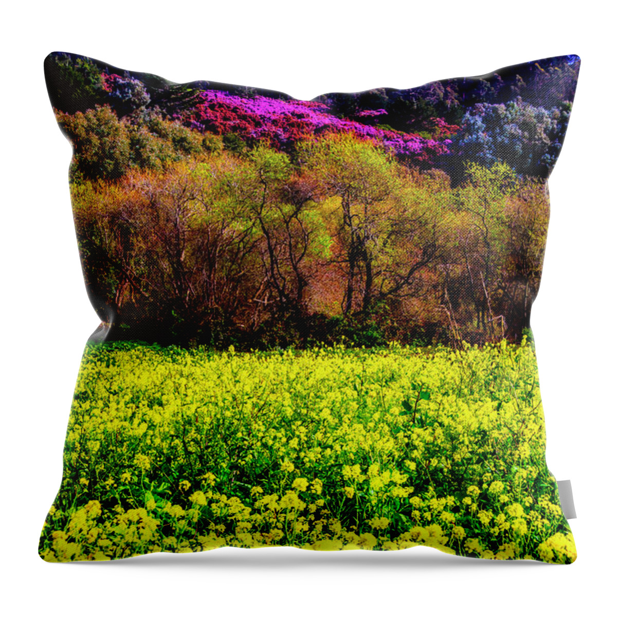 Spring Throw Pillow featuring the photograph Spring Field by Garry Gay