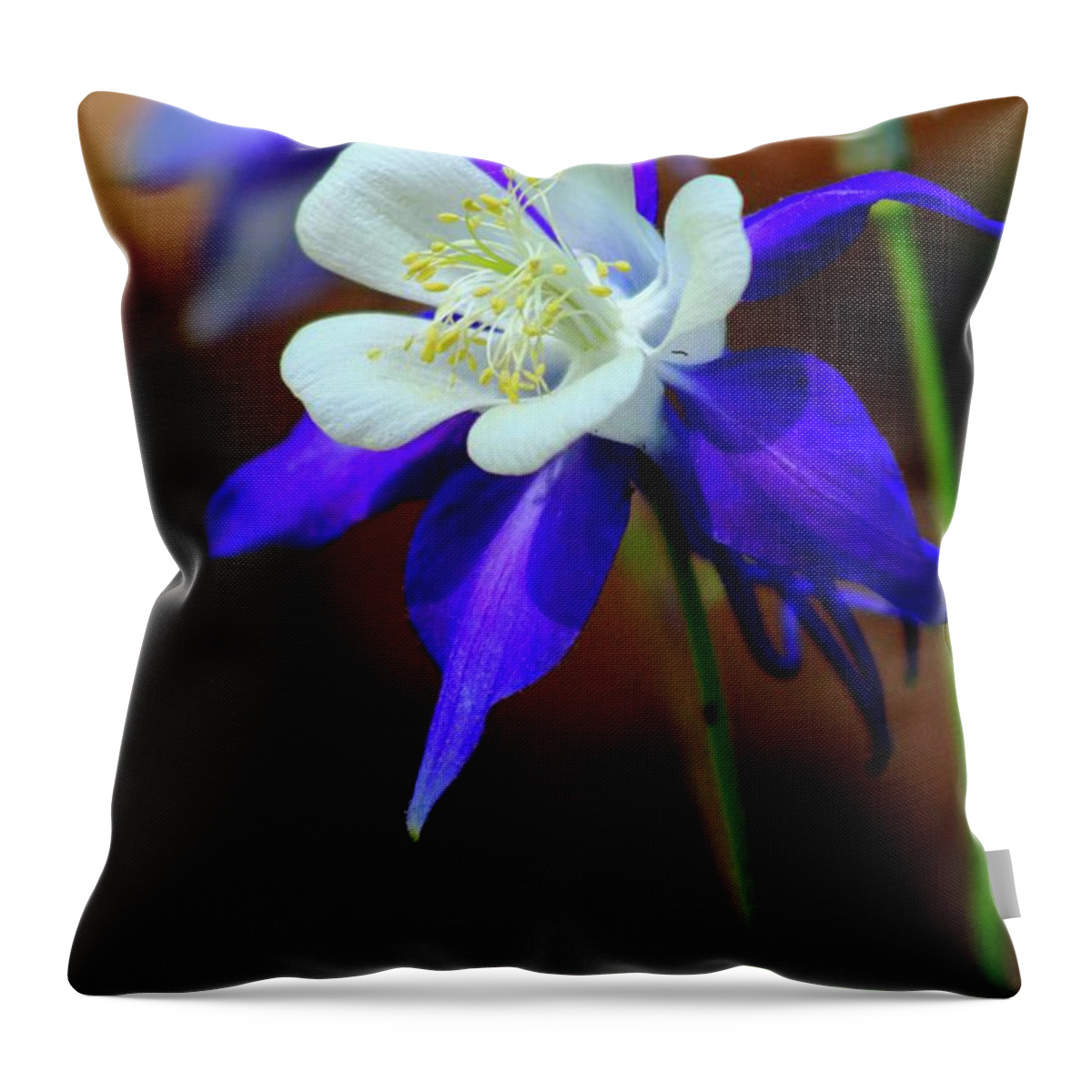 Nature Throw Pillow featuring the photograph Spring Flowers by Kevin Wheeler