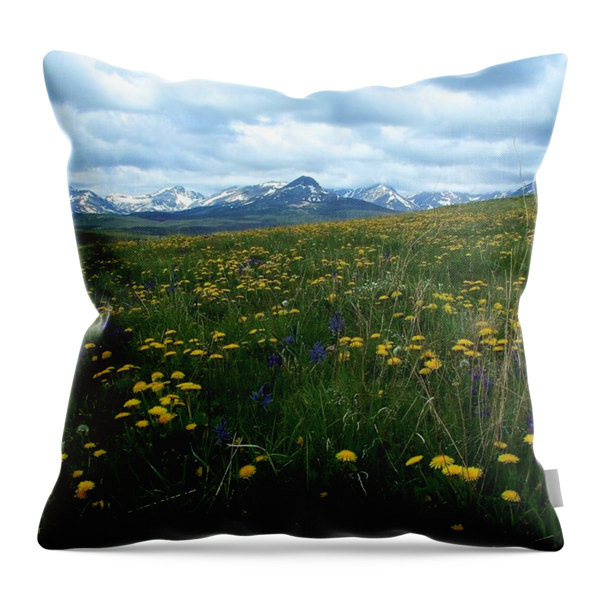 Landscape Throw Pillow featuring the photograph Spring Flowers on the Front by Tracey Vivar