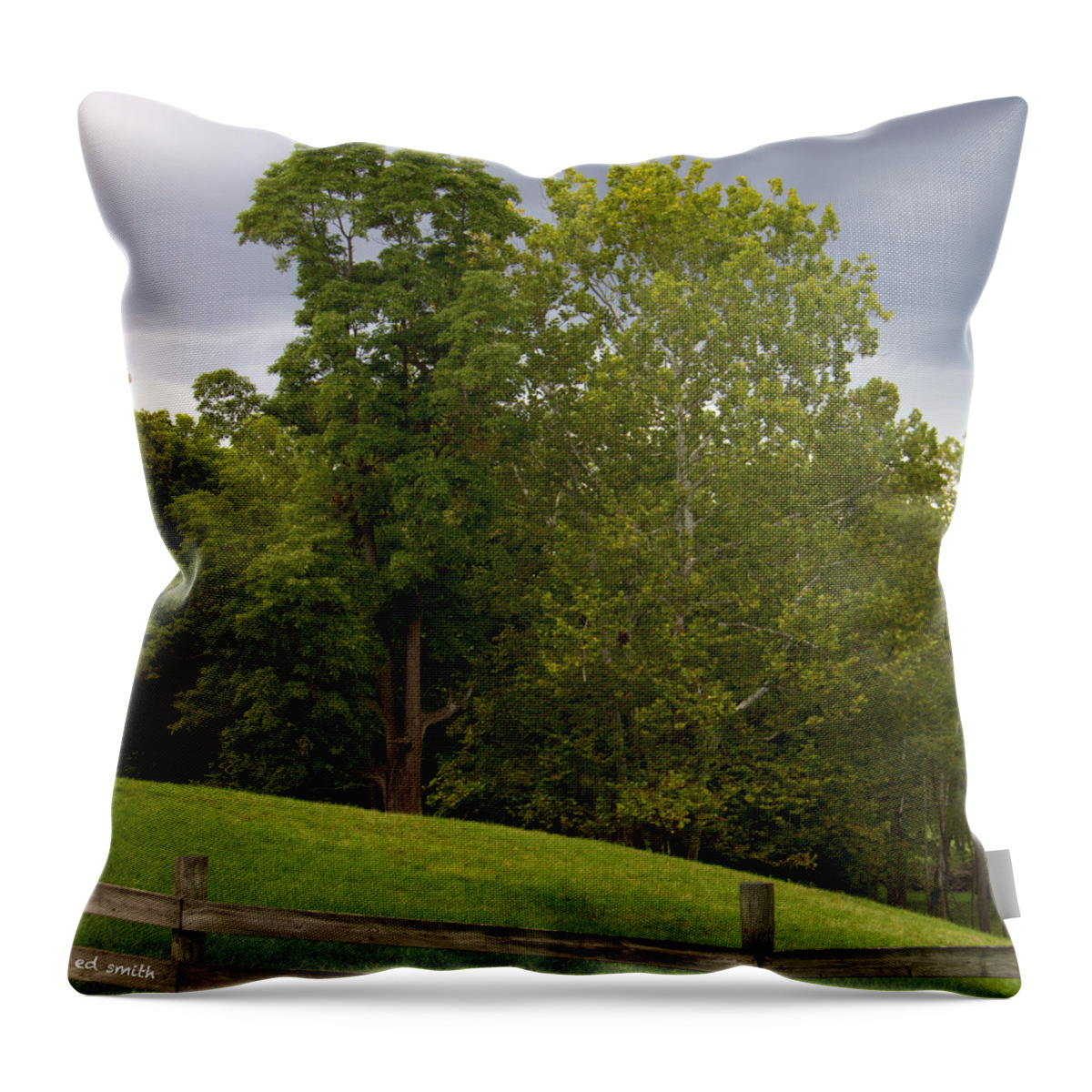Spring Green Throw Pillow featuring the photograph Spring Green by Edward Smith