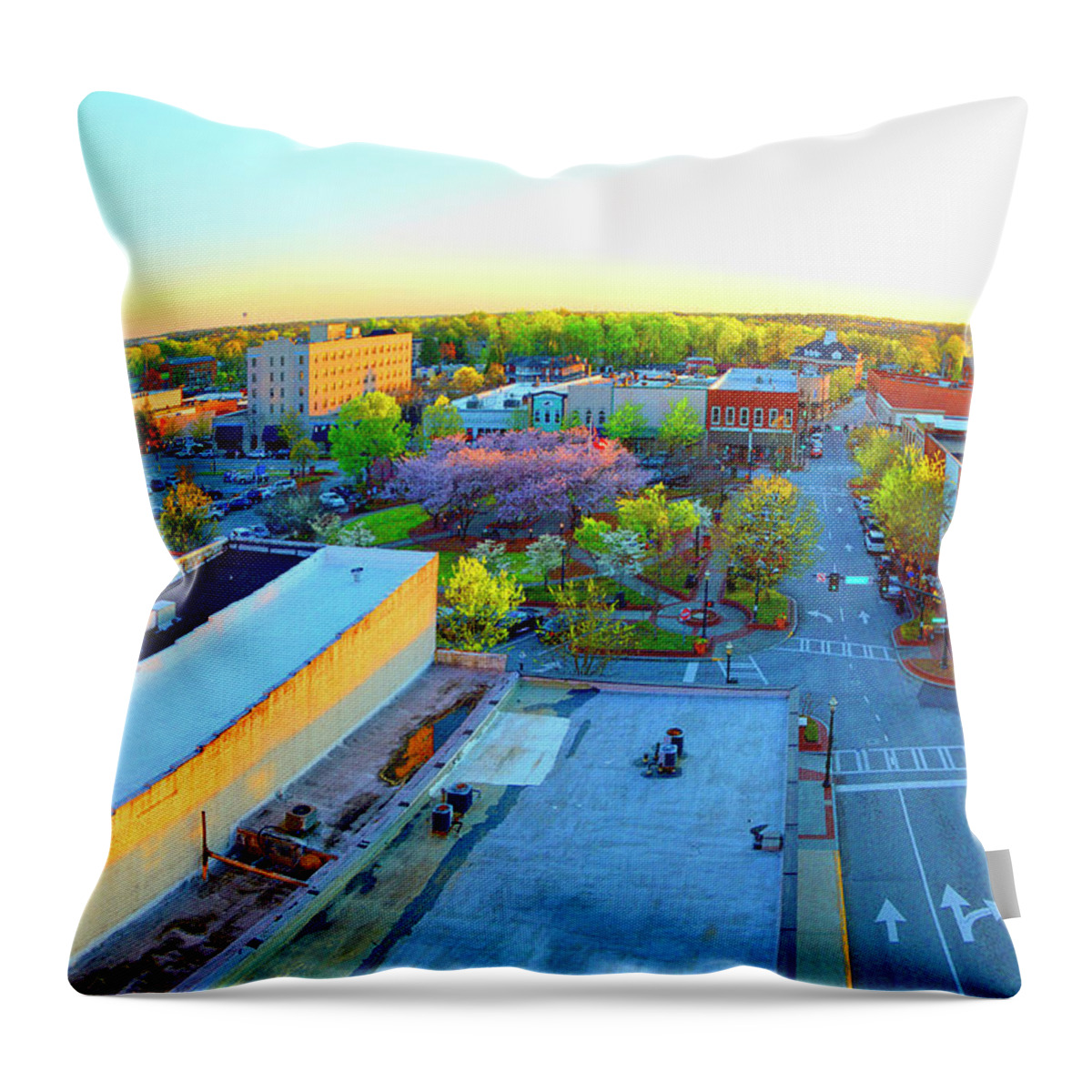 Gainesville Throw Pillow featuring the photograph Spring Green by Jason Bohannon