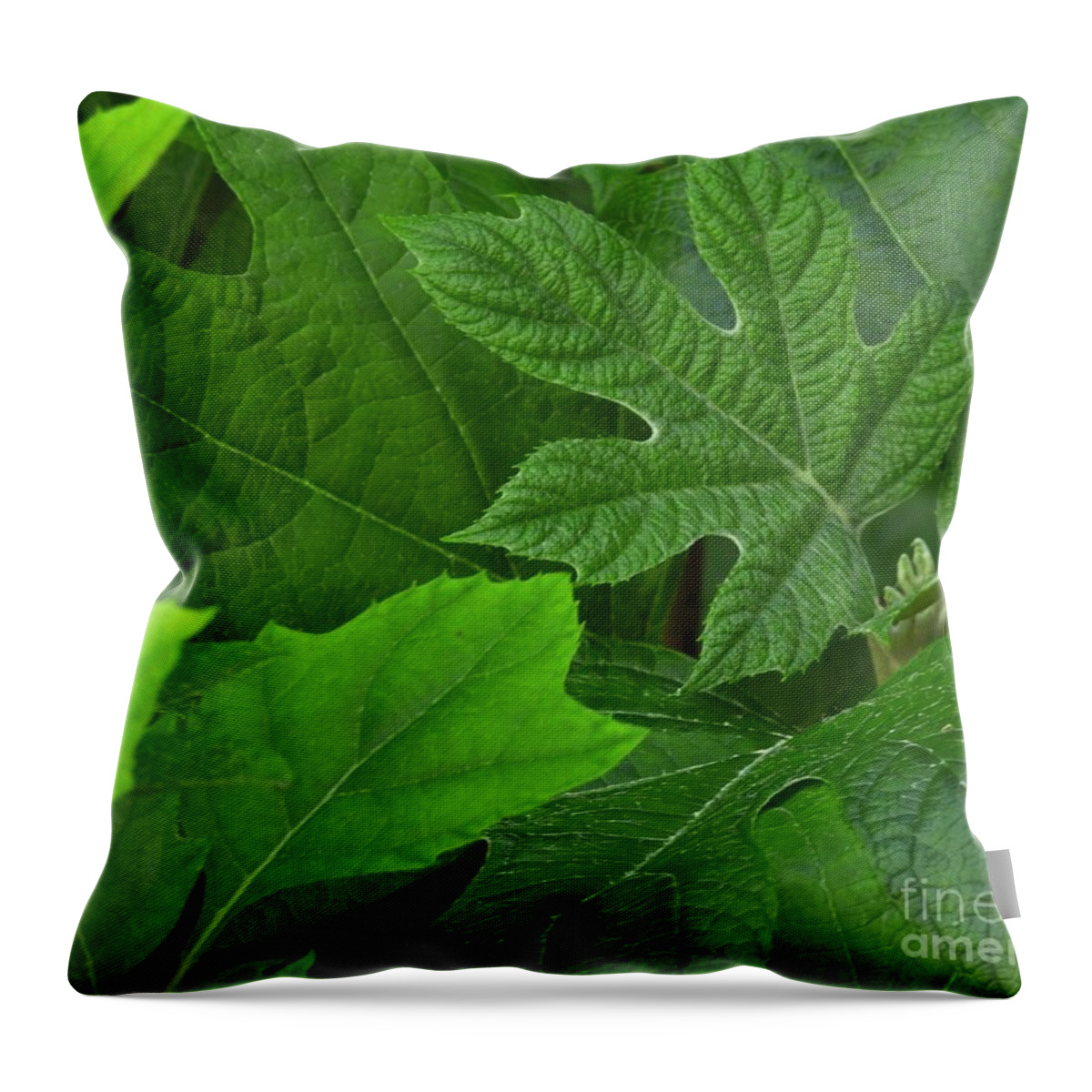 Leaf Throw Pillow featuring the photograph Spring Greens by Jan Gelders