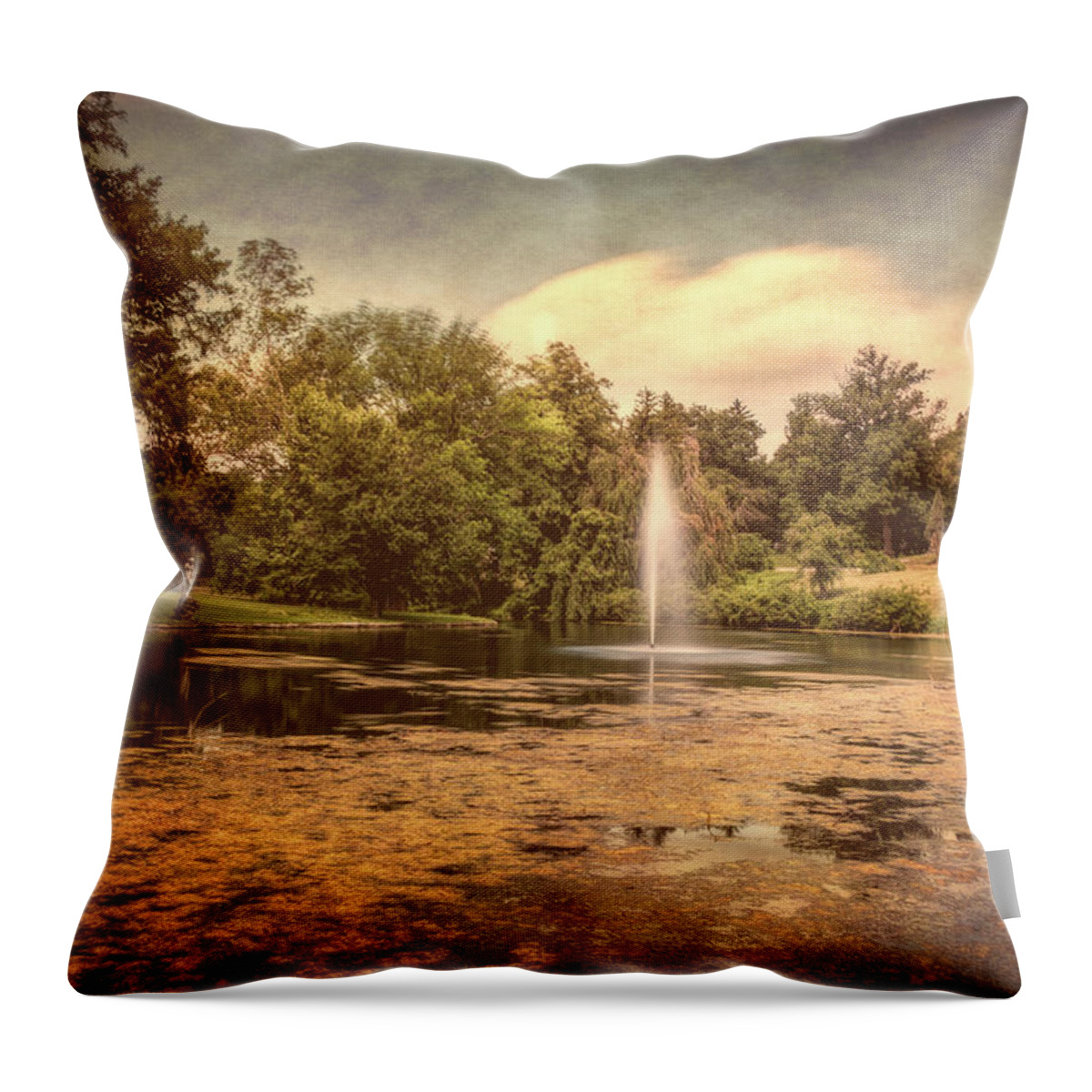 Arboretum Throw Pillow featuring the photograph Spring Grove Water Feature by Tom Mc Nemar
