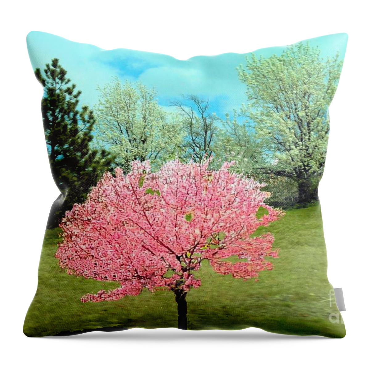 Spring Throw Pillow featuring the photograph Spring Has Sprung and Winter's Done by Janette Boyd