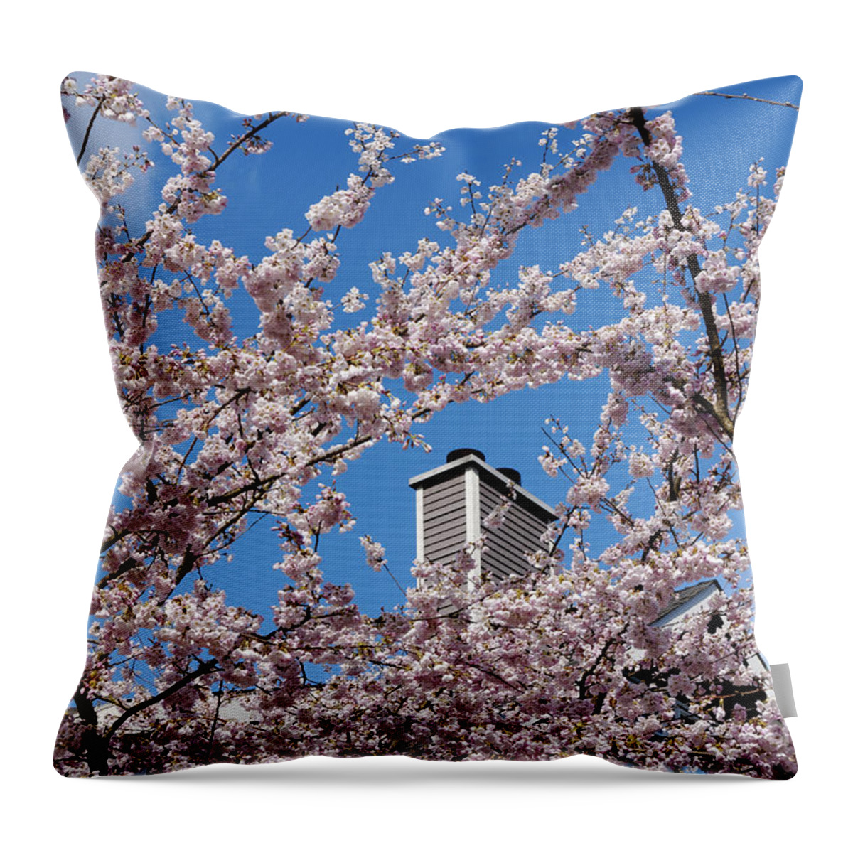 Vancouver Throw Pillow featuring the photograph Spring has sprung by John Mitchell