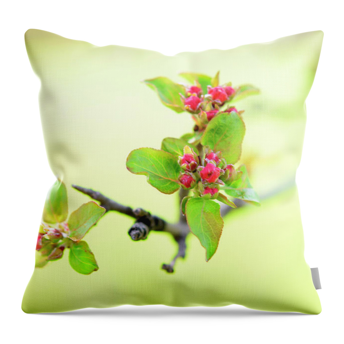 Spring Throw Pillow featuring the photograph Spring Hope by Linda L Brobeck