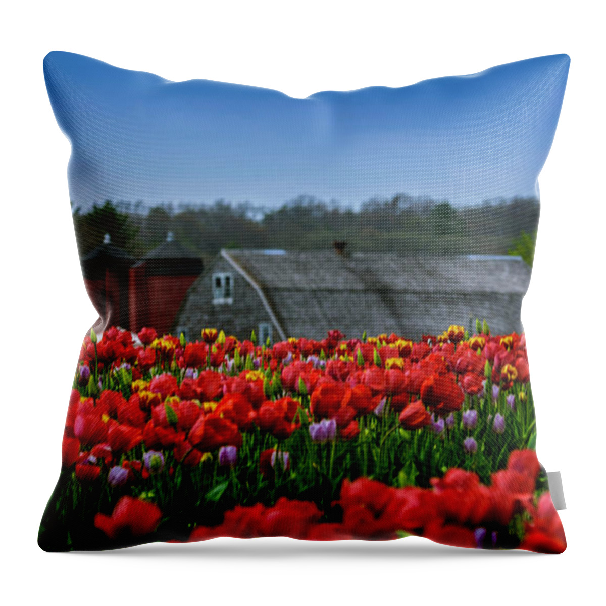 Flowers Throw Pillow featuring the photograph Spring in Rhode Island by New England Photography