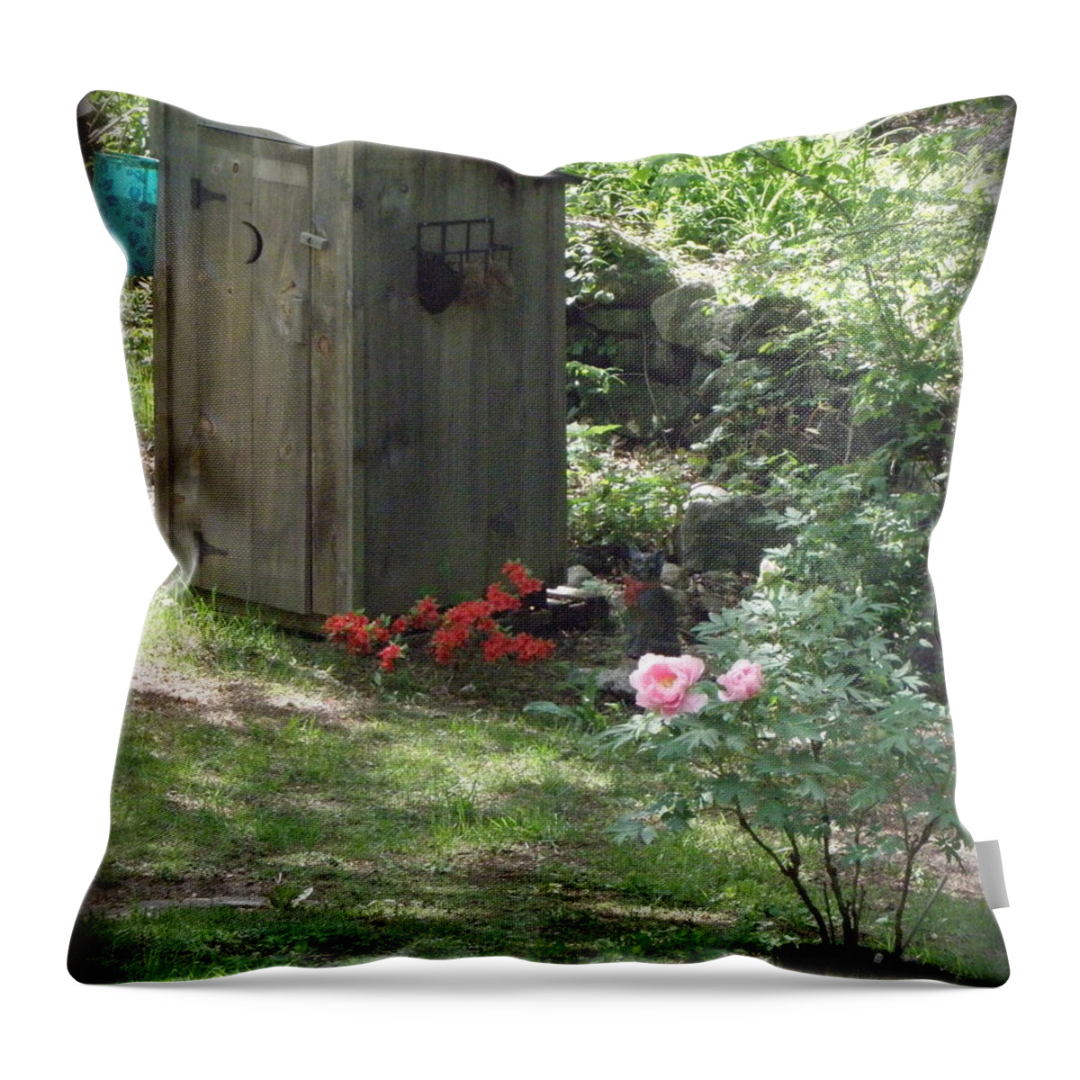 Outhouse Throw Pillow featuring the photograph Spring in the country by Kim Galluzzo