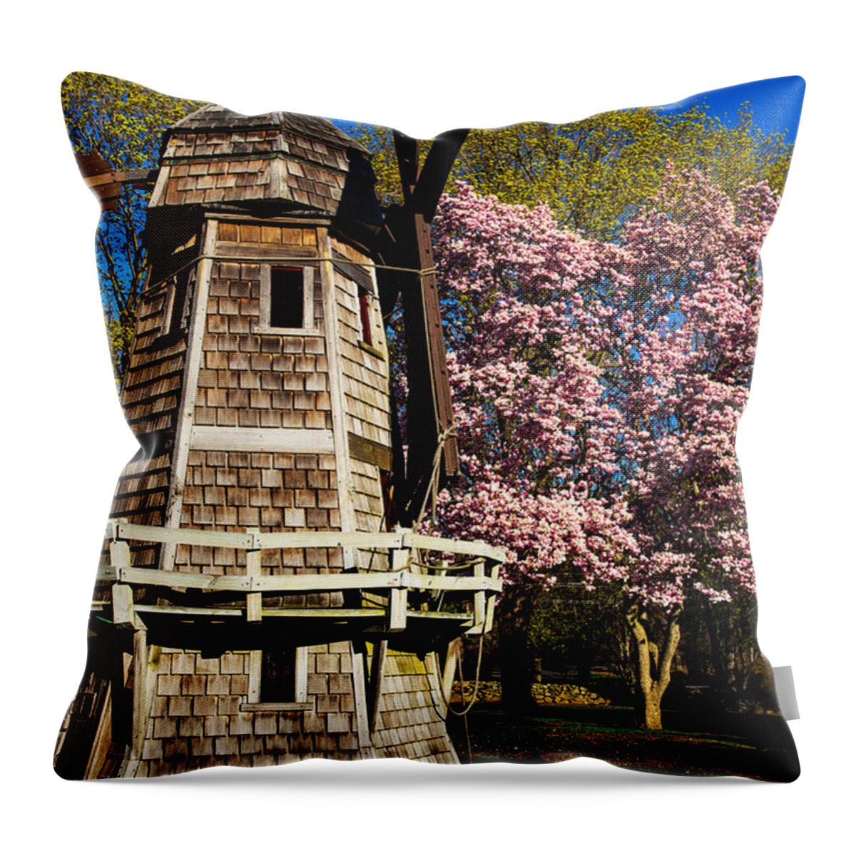 Spring Is Here Throw Pillow featuring the photograph Spring Is Here by Karol Livote