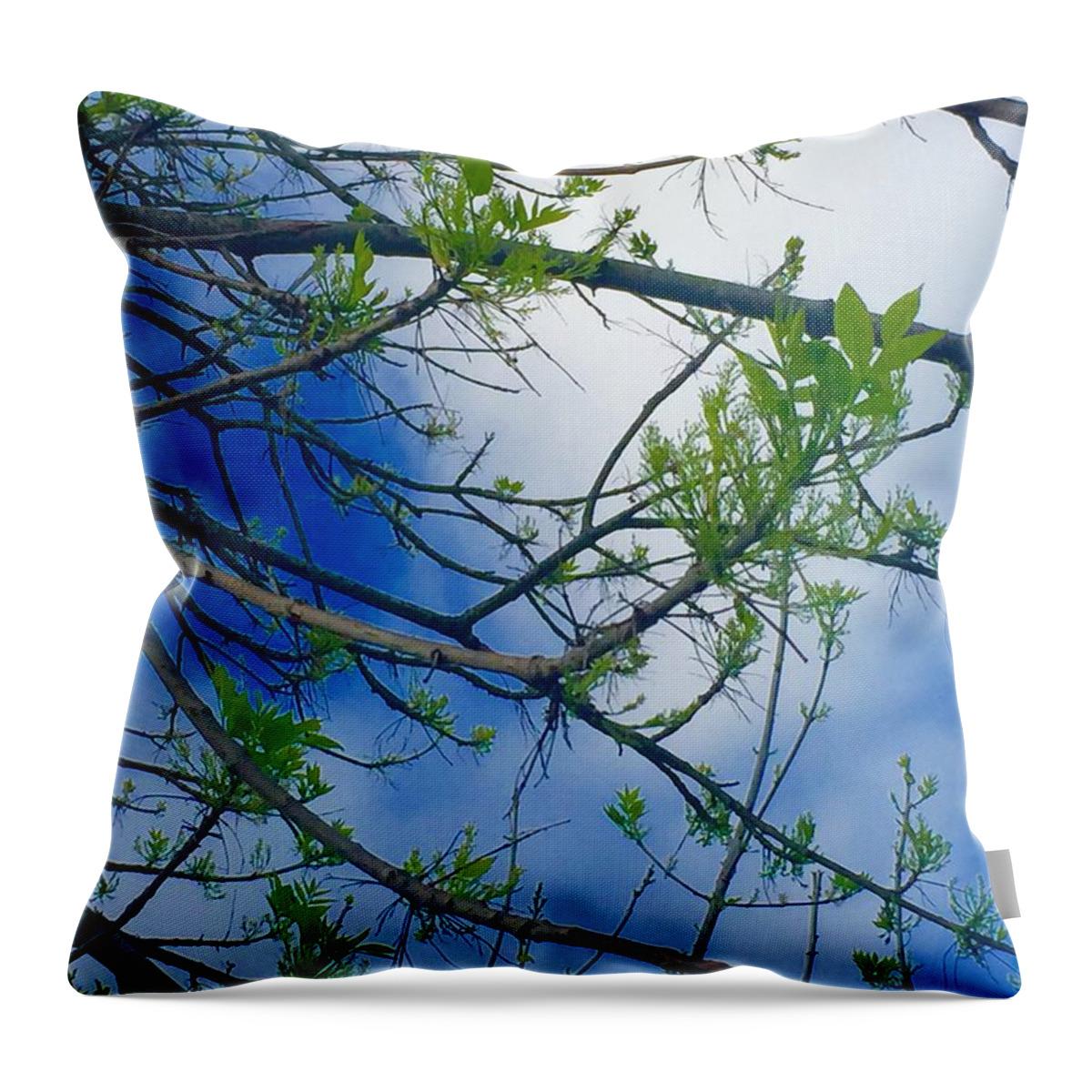 Spring Throw Pillow featuring the photograph Spring Is In the Air by Etta Harris