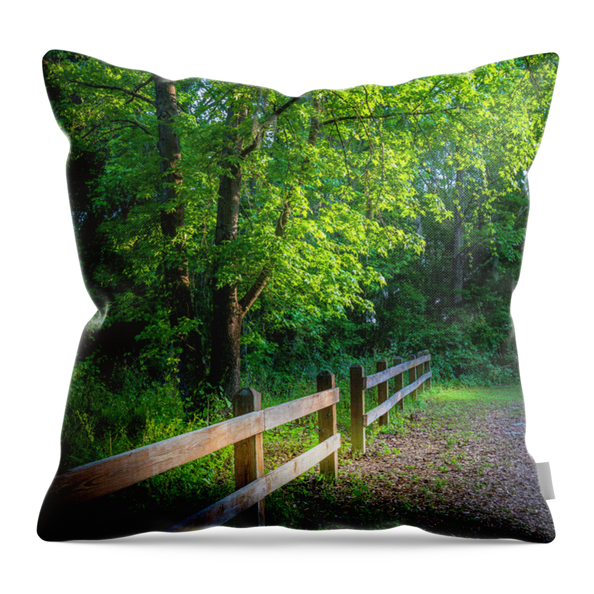 Edward Medard Park Throw Pillow featuring the photograph Spring Leaves by Marvin Spates