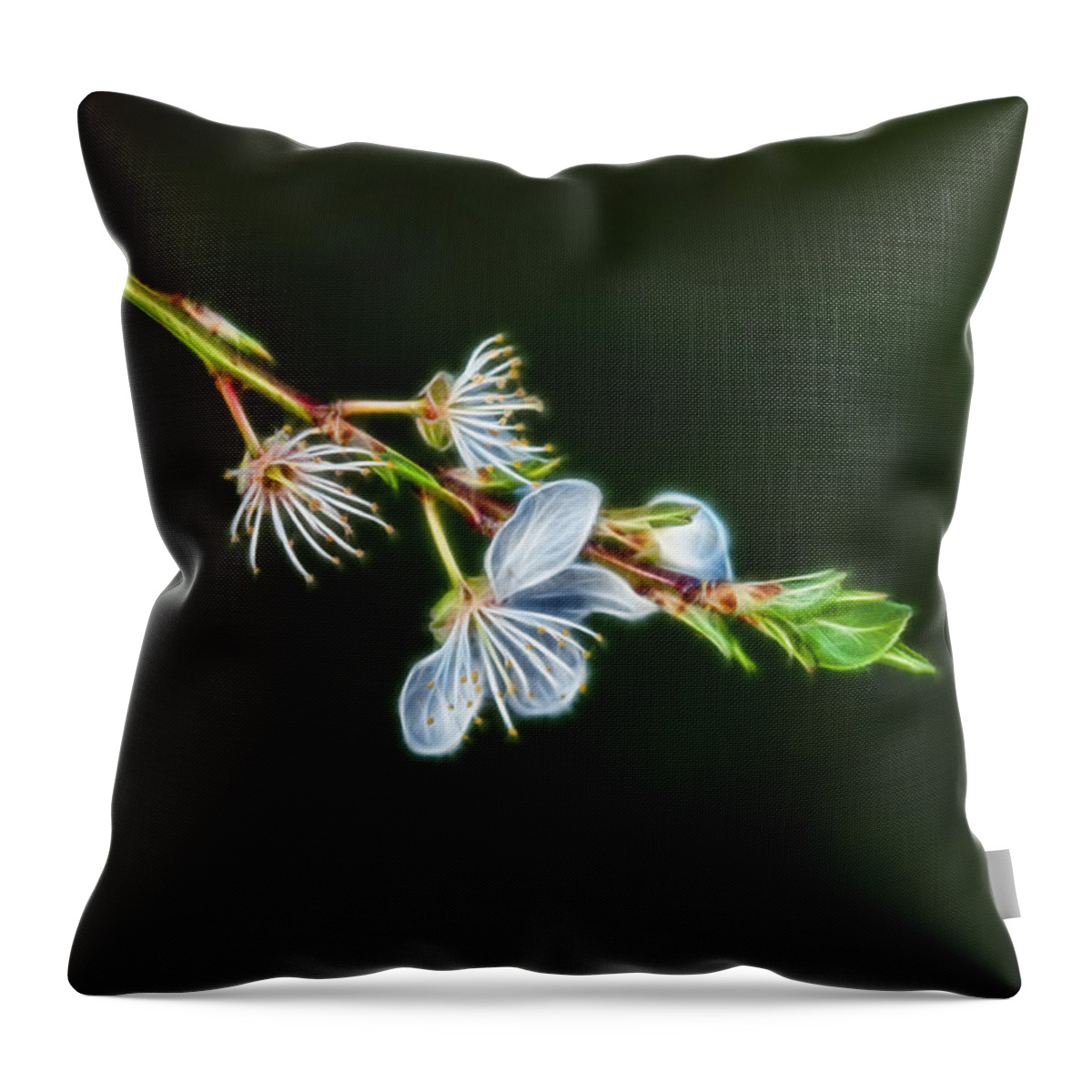 Nature Throw Pillow featuring the photograph Spring by Lee Houston