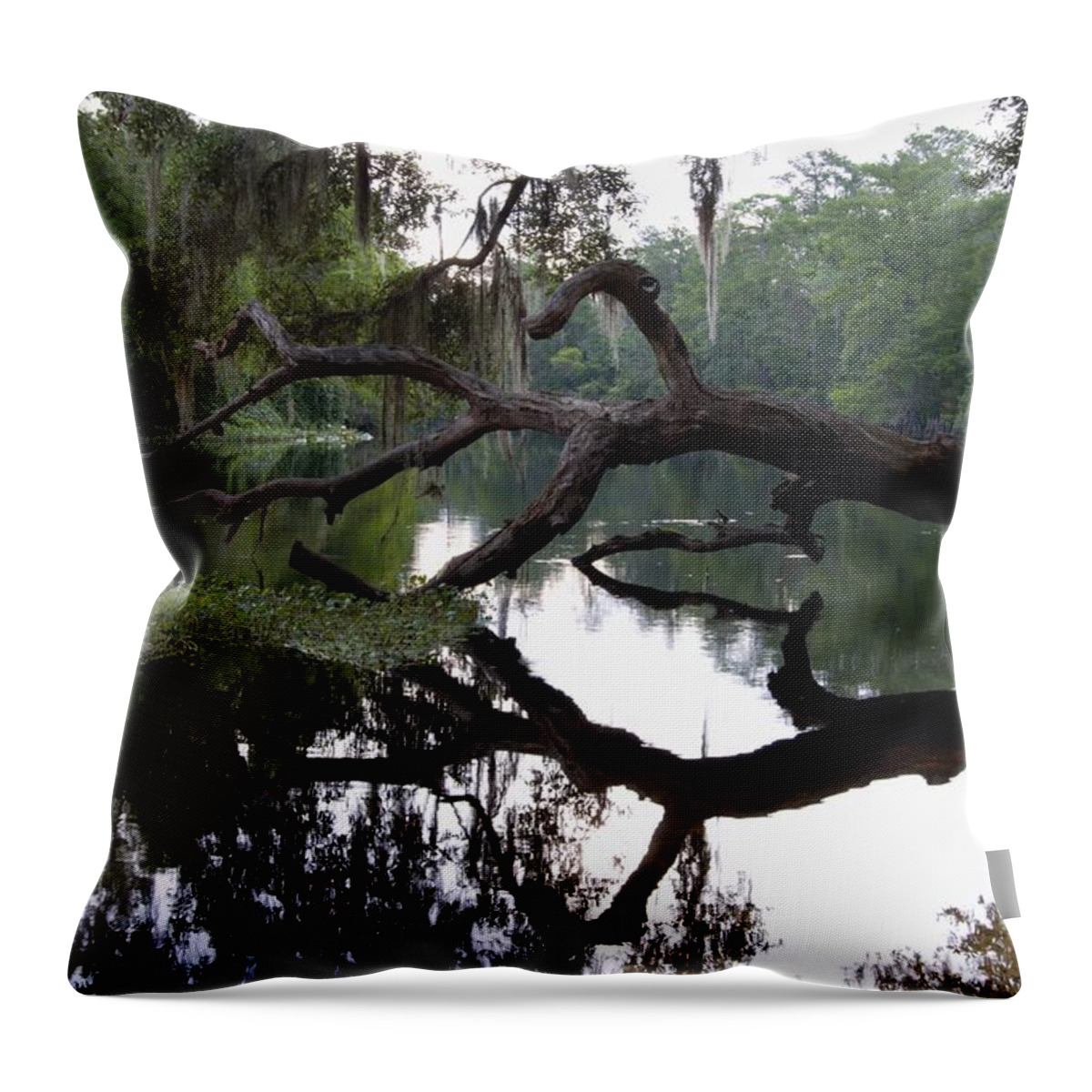 Spring Light On The Withlacoochee River Throw Pillow featuring the photograph Spring Light on the Withlacoochee River by Warren Thompson
