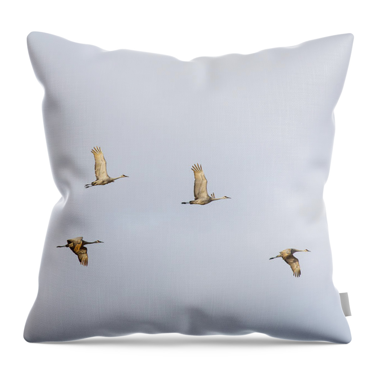 Sandhill Crane Throw Pillow featuring the photograph Spring Migration 3 by Kathy Adams Clark