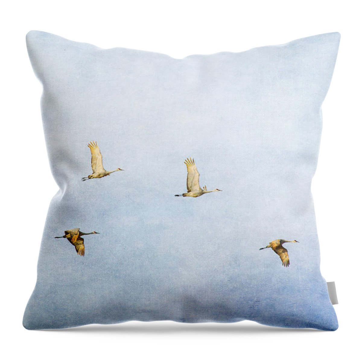 Sandhill Crane Throw Pillow featuring the photograph Spring Migration 3 - Textured by Kathy Adams Clark