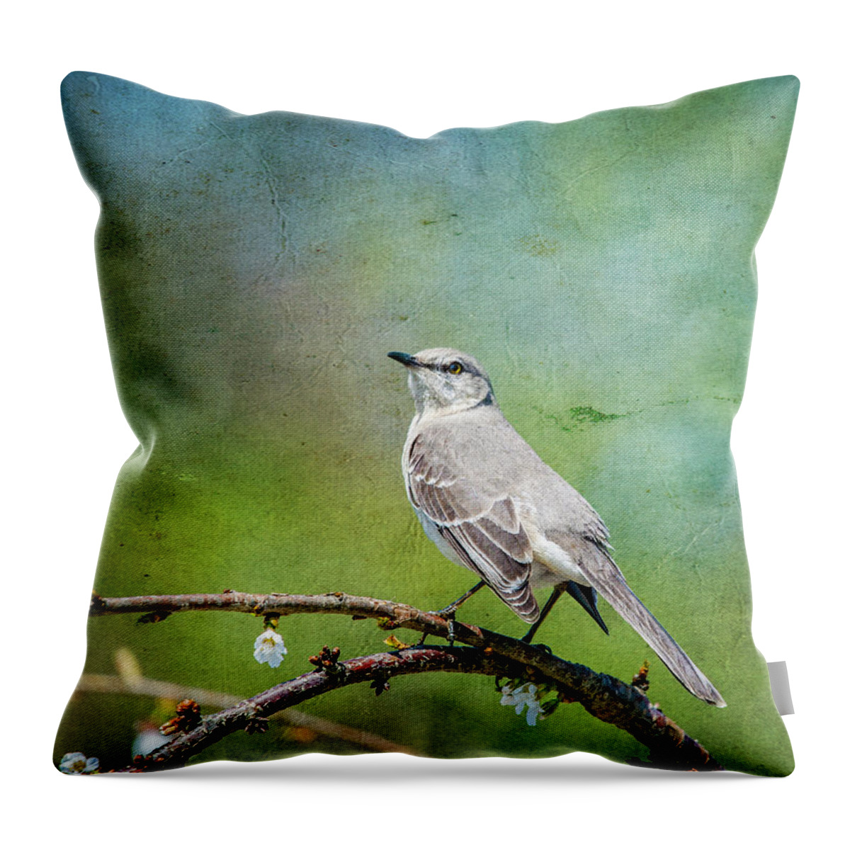Bird Throw Pillow featuring the photograph Spring Mockingbird by Cathy Kovarik