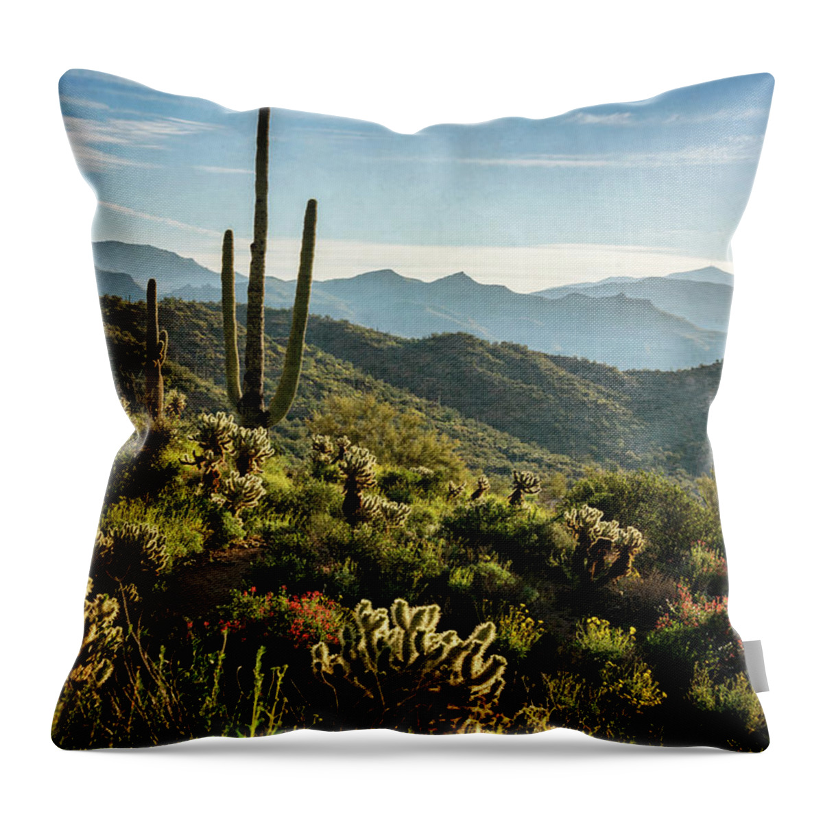 Arizona Throw Pillow featuring the photograph Spring Morning in the Sonoran by Saija Lehtonen