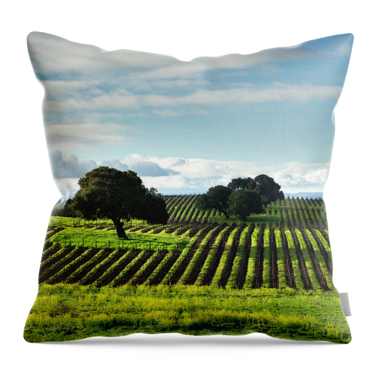 Napa. Vineyard Throw Pillow featuring the photograph Spring Morning in the Vineyard by Leslie Wells