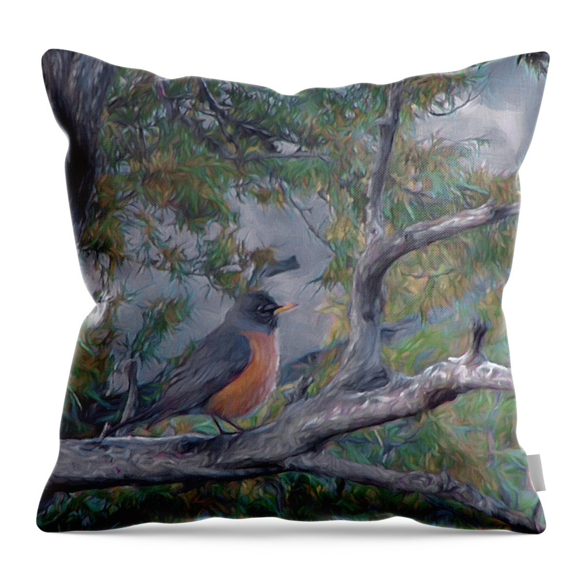 Animals Throw Pillow featuring the digital art Spring Morning Robin DA by Ernest Echols