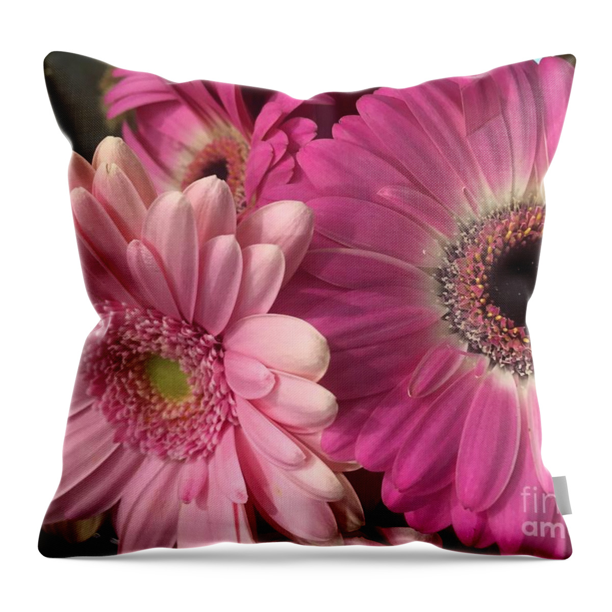 Pink Throw Pillow featuring the photograph Spring N Winter by Nona Kumah