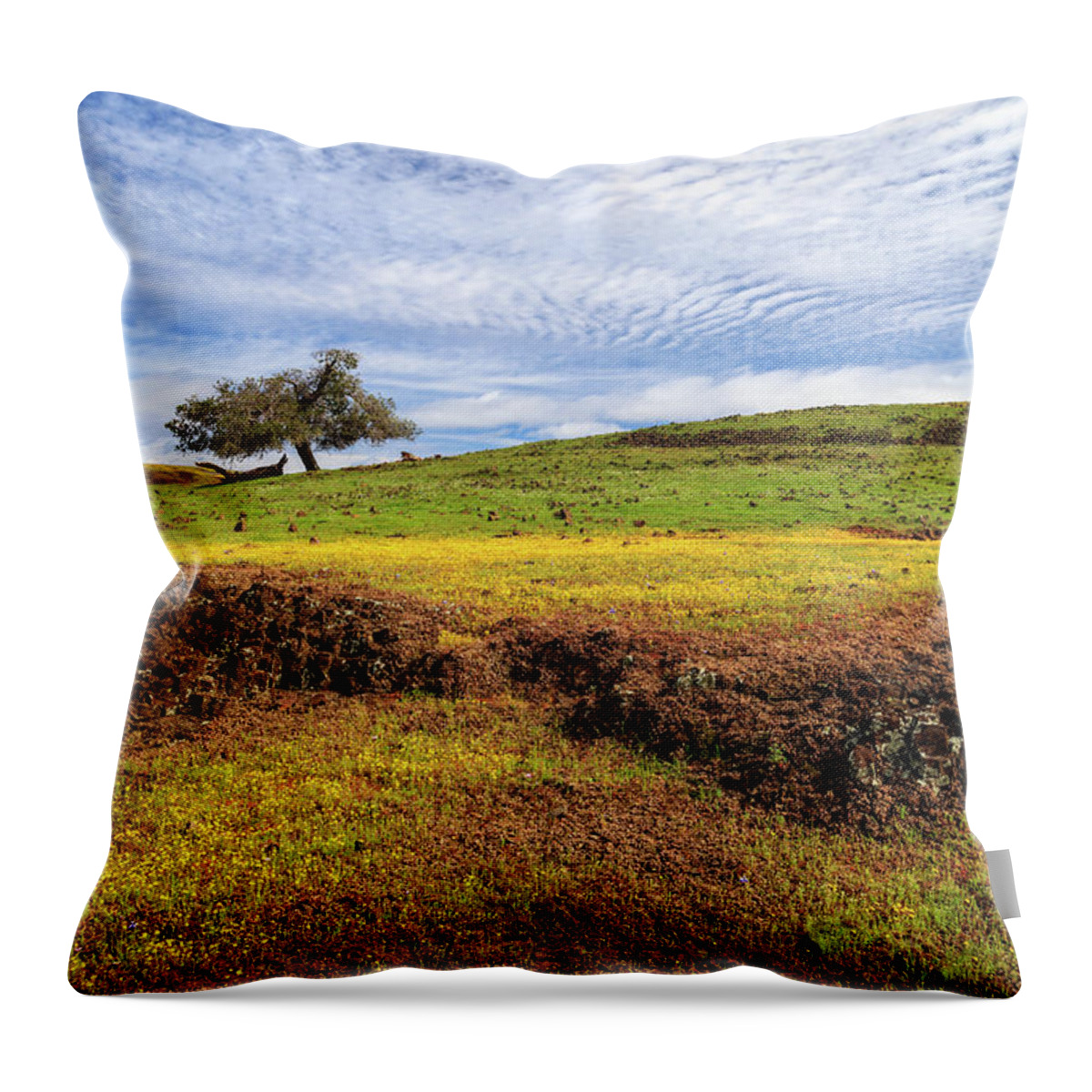 Lava Rock Throw Pillow featuring the photograph Spring On North Table Mountain by James Eddy