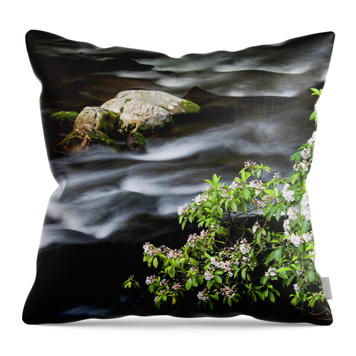 Mountain Throw Pillow featuring the photograph Spring on the Oconaluftee River - D009923 by Daniel Dempster