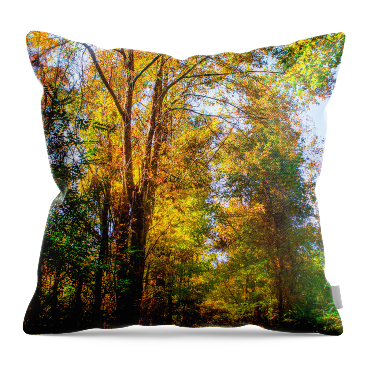 Path Throw Pillow featuring the photograph Spring Path by Parker Cunningham