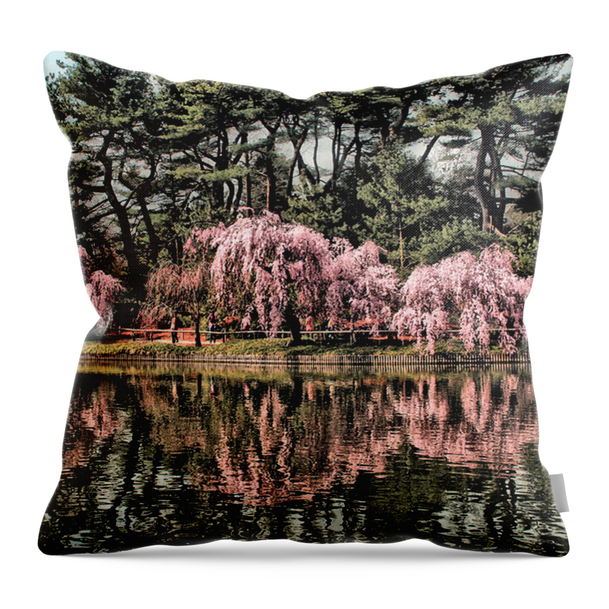 Landscape Throw Pillow featuring the photograph Spring Reflections by Onedayoneimage Photography