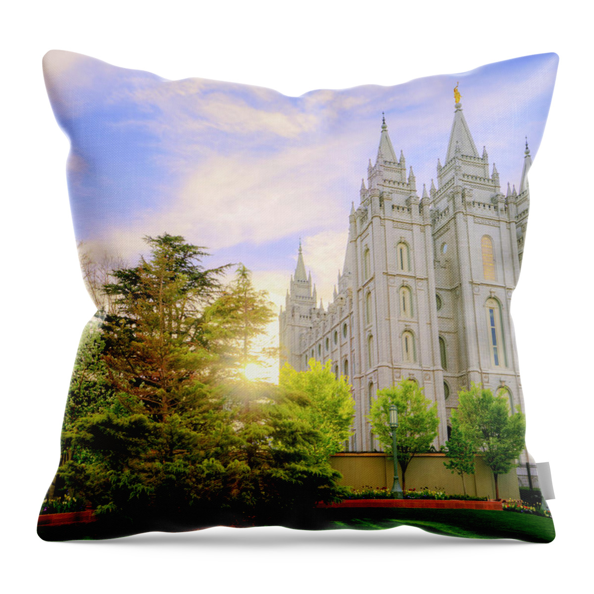Salt Lake Throw Pillow featuring the photograph Spring Rest by Chad Dutson