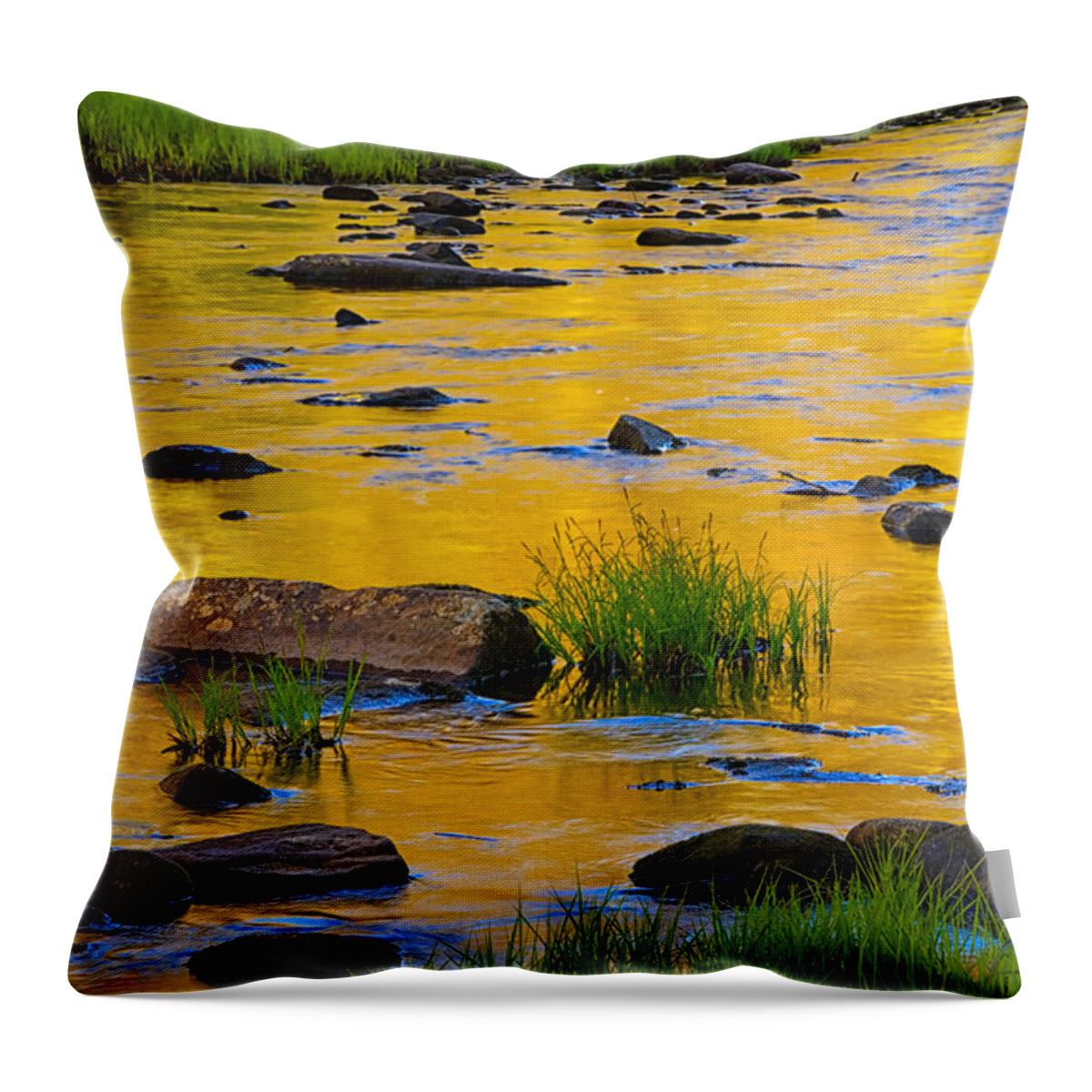 Kelly River Wilderness Throw Pillow featuring the photograph Spring River Colors by Irwin Barrett