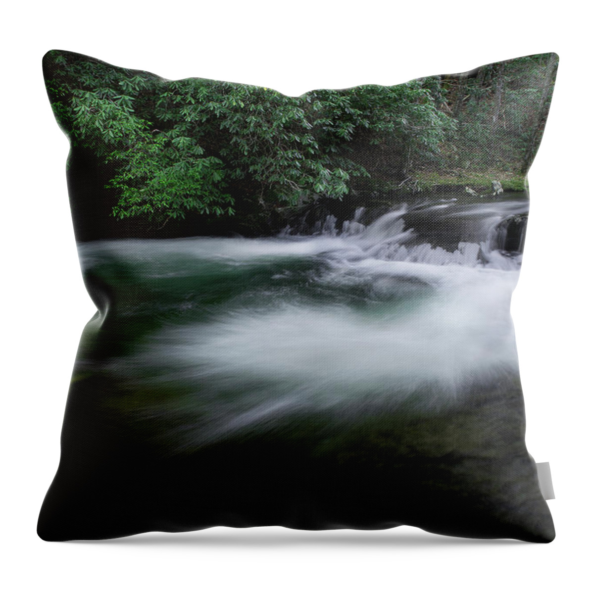 Stream Throw Pillow featuring the photograph Spring River by Mike Eingle