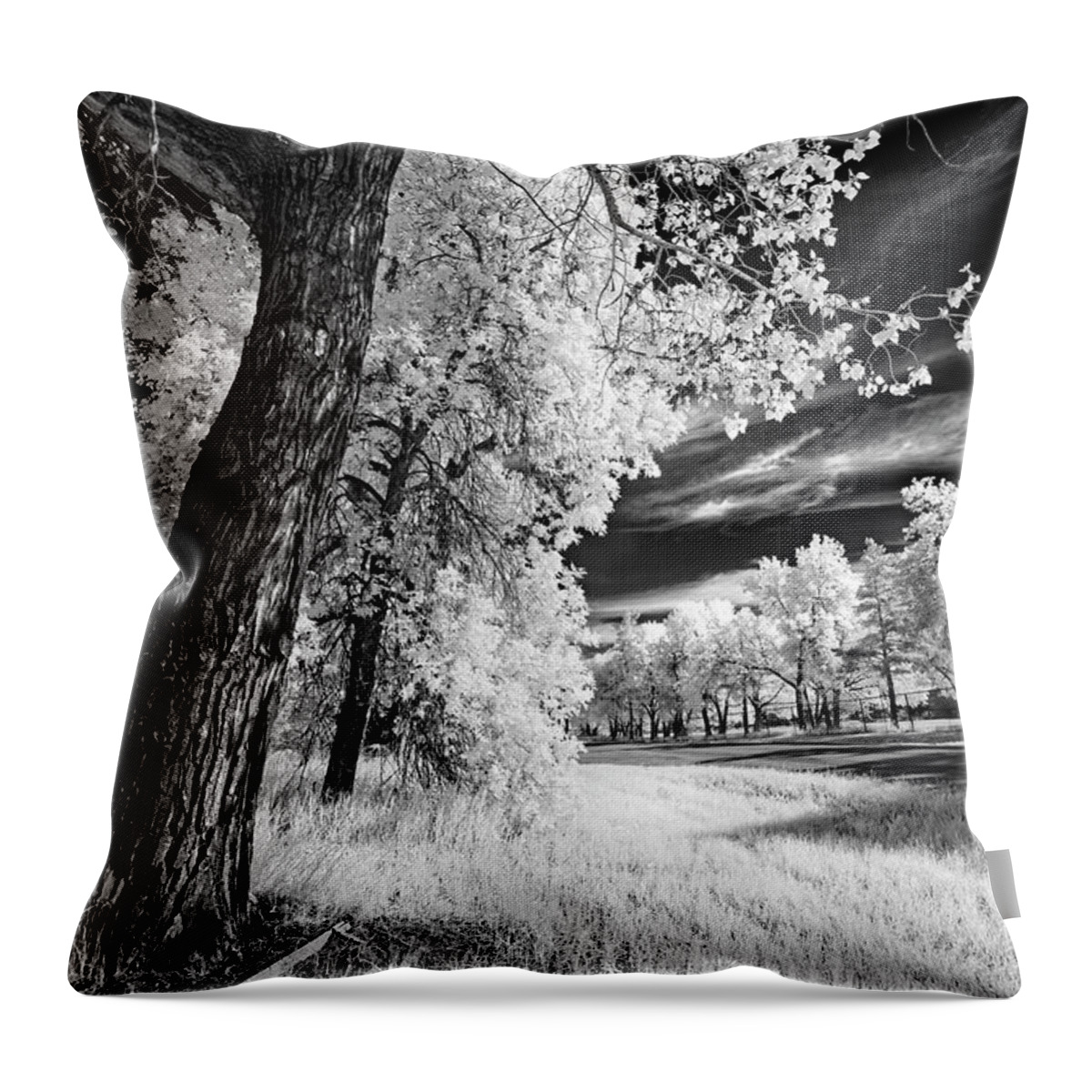 Infrared Throw Pillow featuring the photograph Spring Sky by Dan Jurak