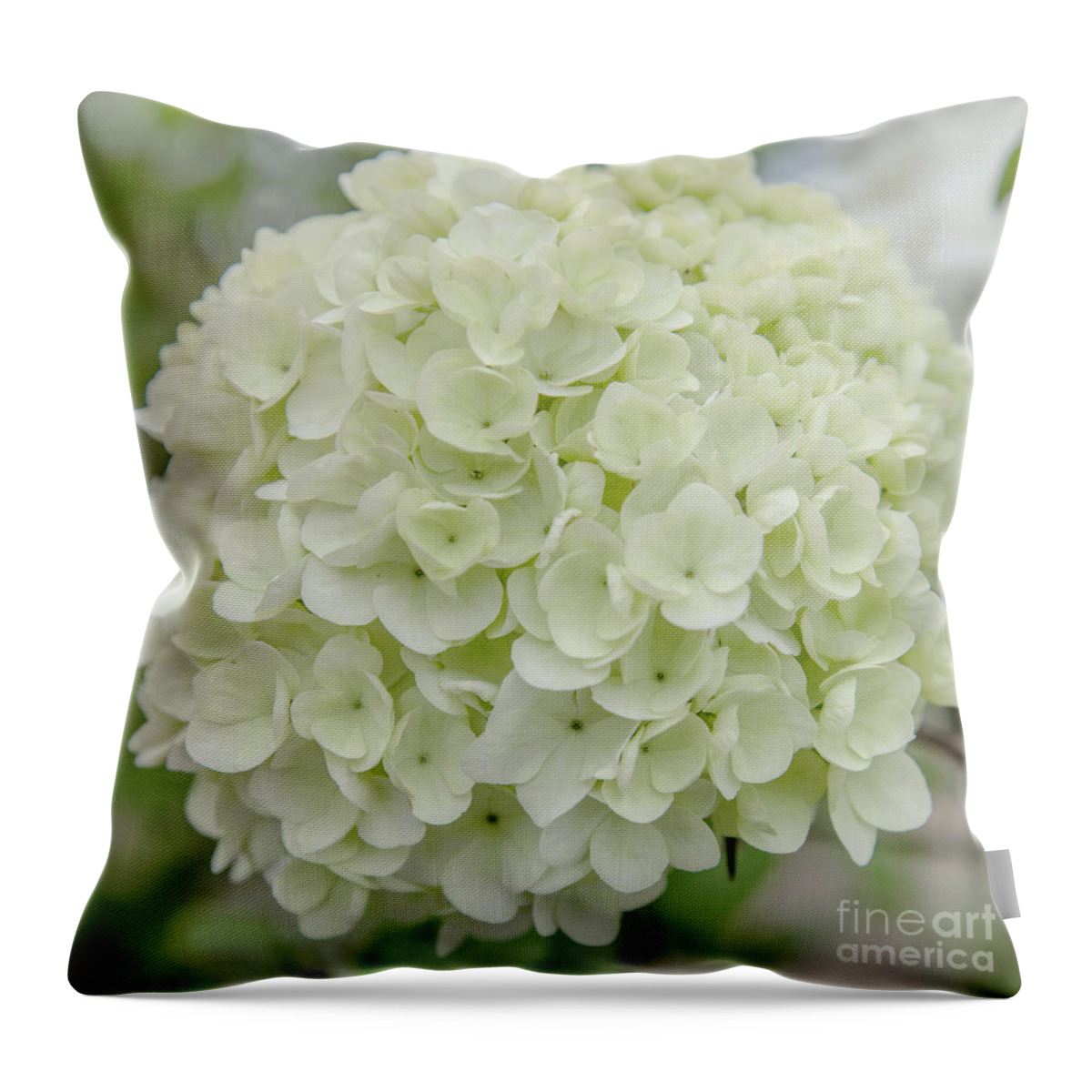 Spring Snowball Throw Pillow featuring the photograph Spring Snowball by Anita Faye
