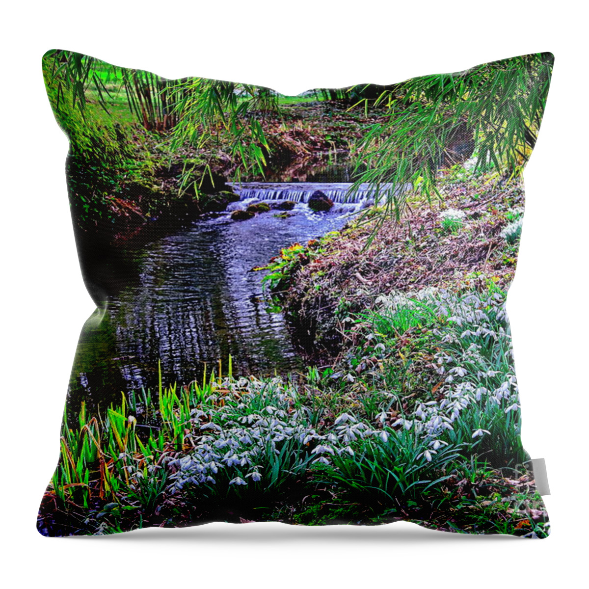 Snowdrops Throw Pillow featuring the photograph Spring Snowdrops by Stream by Martyn Arnold