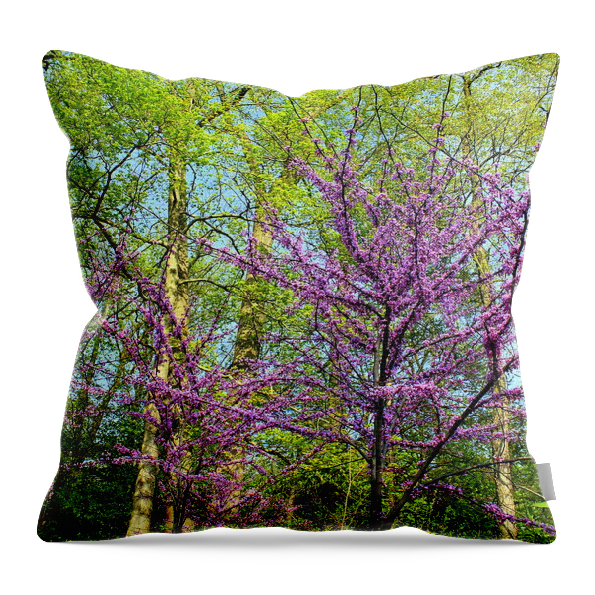 Spring Throw Pillow featuring the photograph Spring Splatter by Deborah Crew-Johnson