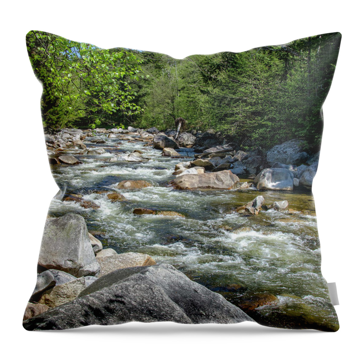 Spring Throw Pillow featuring the photograph Spring Stream by Donna Doherty