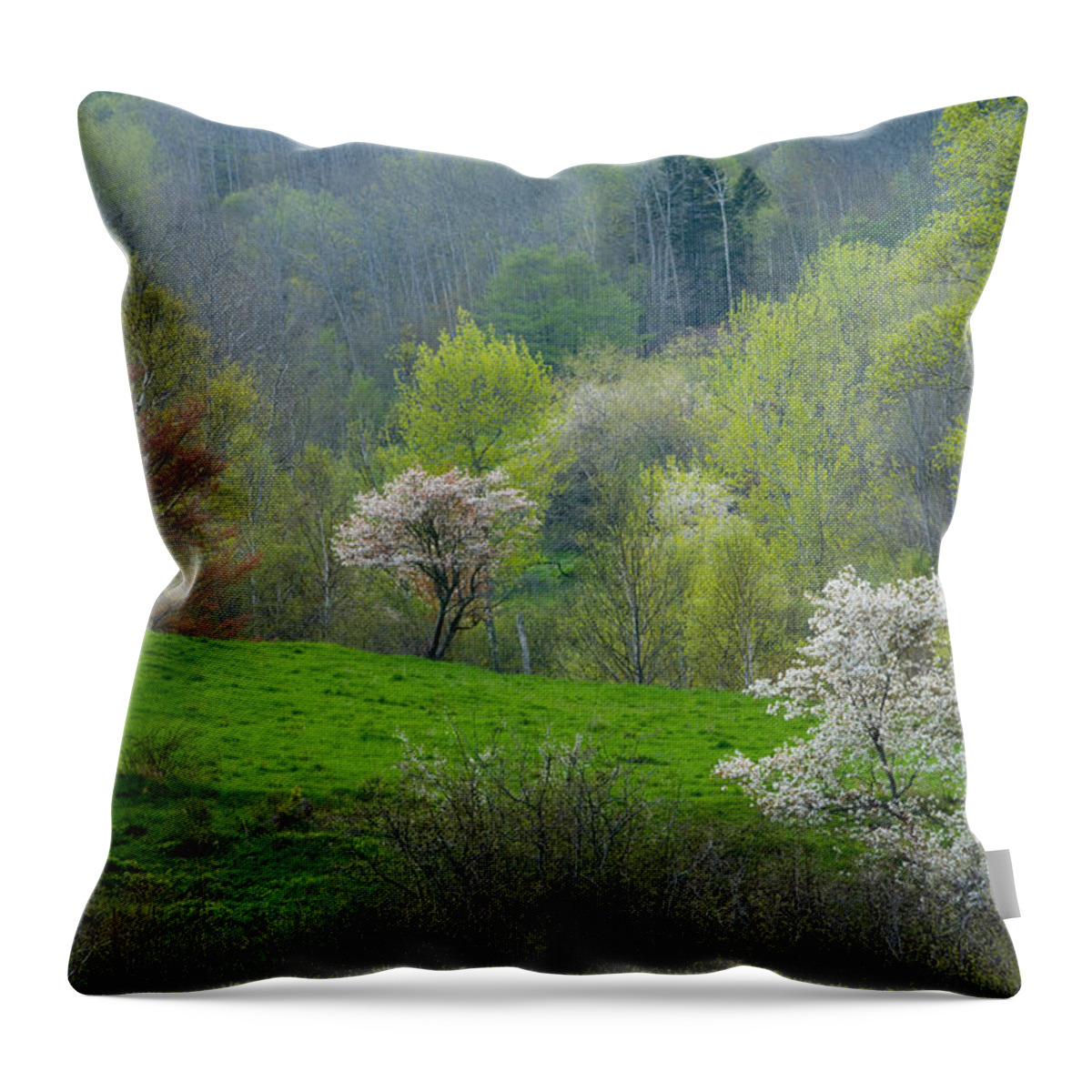 Spring Throw Pillow featuring the photograph Spring Time At Blomidon #1 by Irwin Barrett