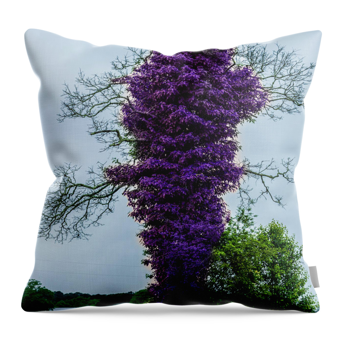 Tree Throw Pillow featuring the photograph Spring Tree by Metaphor Photo