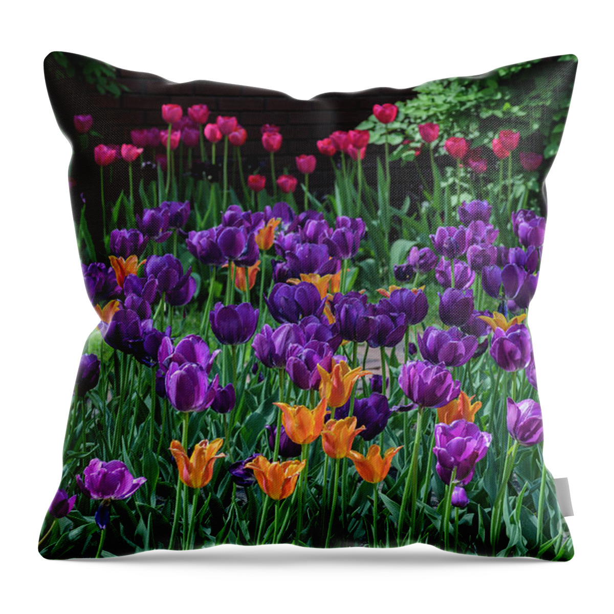 Tulips Throw Pillow featuring the photograph Spring Tulip Bed by Tamara Becker